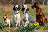 Fotoshooting mit Kaya und Ronja (23.03.2012)