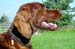 Aysha-08
