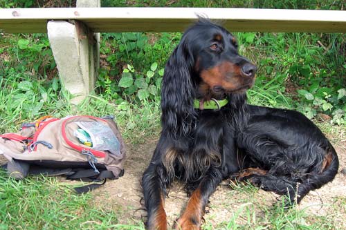Romy-13