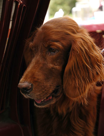 Ronja-05
