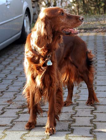 Ronja-07