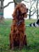 Ronja-09