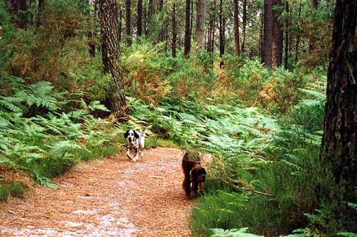 06-Aquitaine-1999