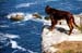 03-Bretagne-1997
