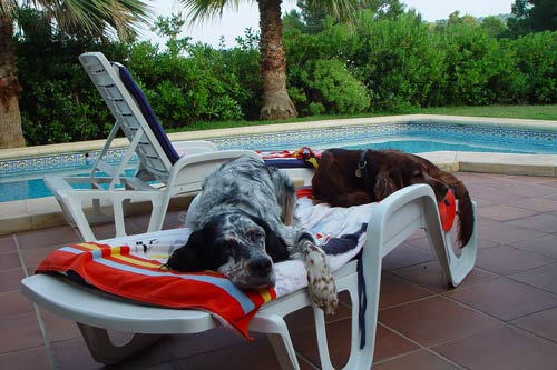 02-Costa-Blanca-2004