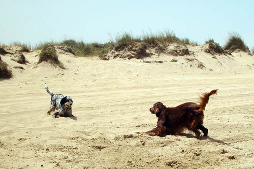 04-Costa-Blanca-2004