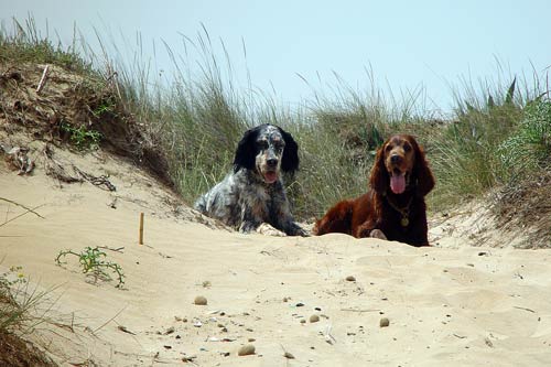 05-Costa-Blanca-2004