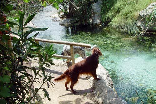 11-Costa-Blanca-2004