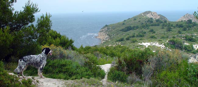 14-Costa-Blanca-2004