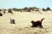 04-Costa-Blanca-2004