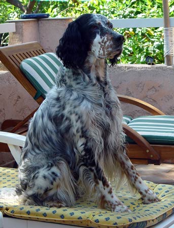 03-Cote-d-Azur-2003