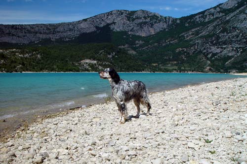 07-Cote-d-Azur-2003