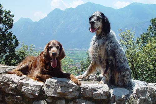 04-Gardasee-2007