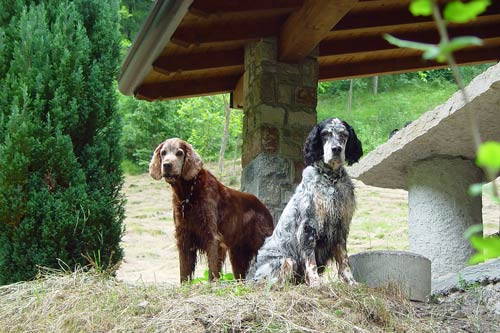 10-Gardasee-2007