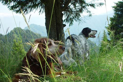 11-Gardasee-2007