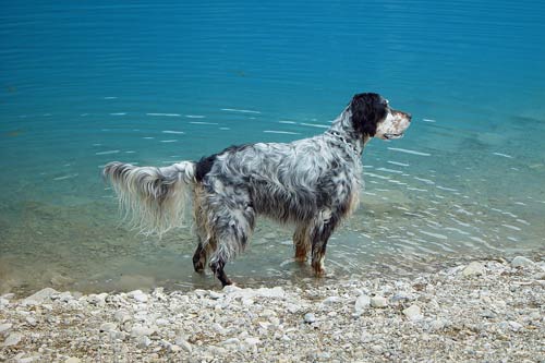 26a-Gardasee-2007