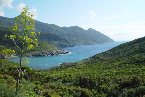 07-Korsika-2006