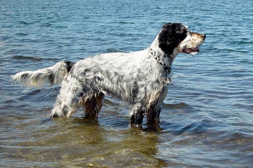 09-Korsika-2006