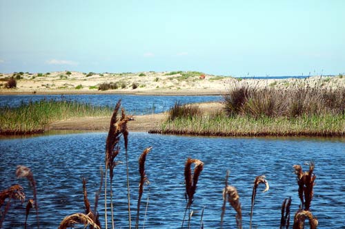 10-Korsika-2006
