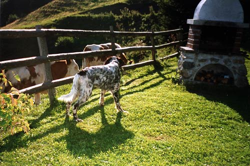 04-Salzburger-Land-1998