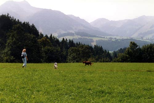 08-Salzburger-Land-1998