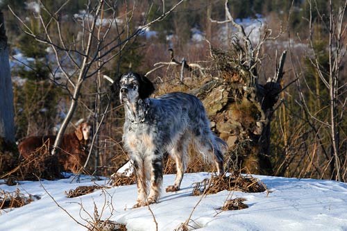 06-Schwarzwald-2008