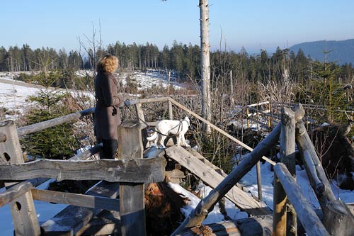 10-Schwarzwald-2008