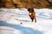 05-Schweiz-1997