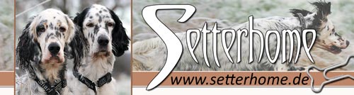 Setterhome