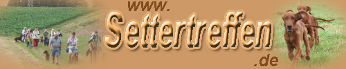 Settertreffen