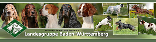 LG Baden-Württemberg des Vereins für Pointer und Setter